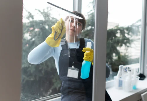 Nettoyage de vitres intérieures et extérieures à Boujailles